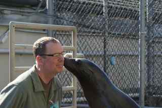 Seal Kiss
