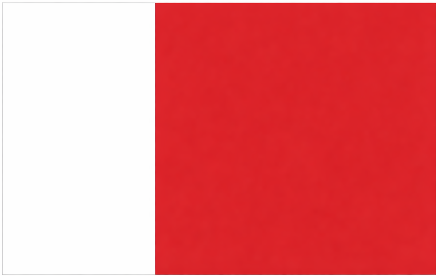 Flag of Dubai