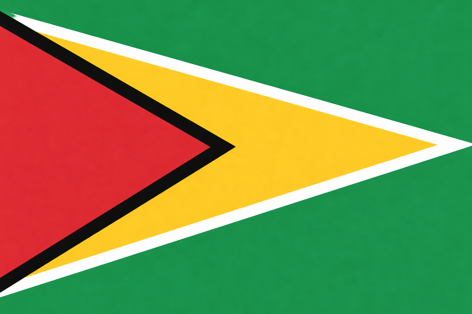 Flag of Guyana